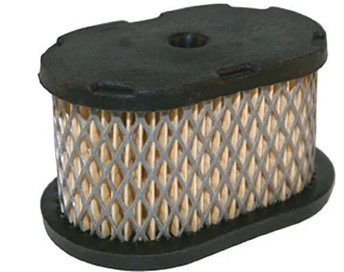 Air Filter - Briggs and Stratton 497725 / 497725S / 494586