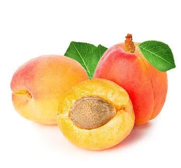 Apricot Kernel Carrier Oil - Refined