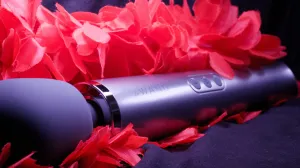 LE WAND - Rechargeable 10-Speed Vibrating Cordless Wand Massager