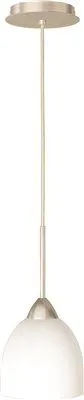 Monument 1-Light Pendant Frosted Opal Glass Brushed Nickel 6 X 11-3/4 Inch  1 100-Watt Incandescent Medium Base Lamp