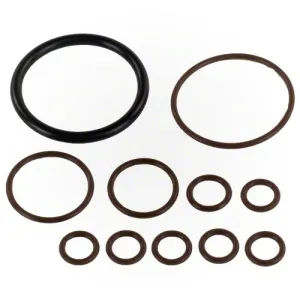 Pentair Feed Line O-ring Kit 360268