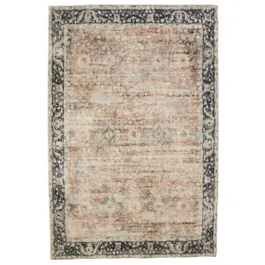 Rann Multicolour Traditional Distressed Area Rug